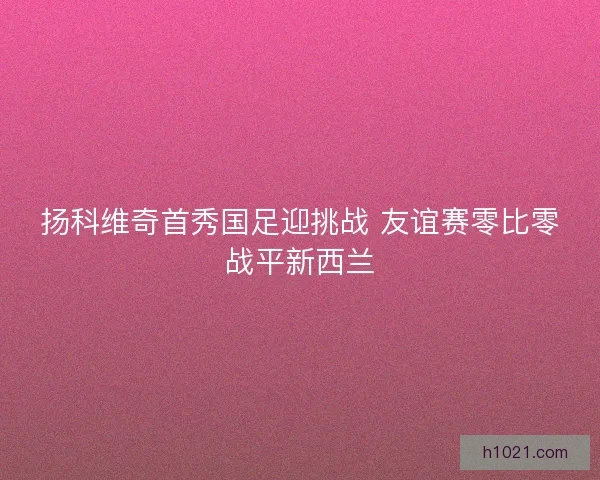 扬科维奇首秀国足迎挑战 友谊赛零比零战平新西兰